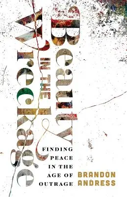 Frumusețe în epavă: Finding Peace in the Age of Outrage - Beauty in the Wreckage: Finding Peace in the Age of Outrage