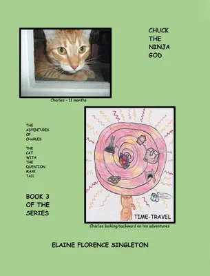 Chuck The Ninja GOD: Aventurile lui Charles The Cat With The Question Mark Tail - Chuck The Ninja GOD: The Adventures Of Charles The Cat With The Question Mark Tail