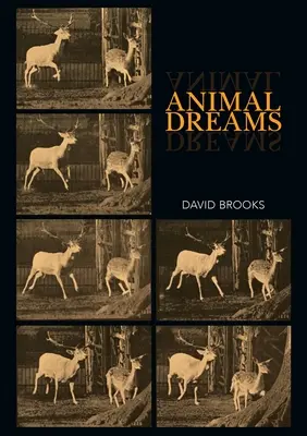 Visele animalelor - Animal Dreams