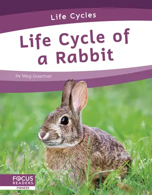 Ciclul de viață al unui iepure - Life Cycle of a Rabbit