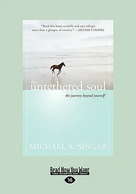 Sufletul dezlegat: Călătoria dincolo de tine însuți - The Untethered Soul: The Journey Beyond Yourself