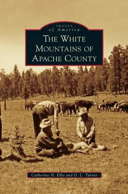 Munții Albi din comitatul Apache - White Mountains of Apache County