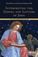 Interpretarea Evangheliei și a scrisorilor lui Ioan: o introducere - Interpreting the Gospel and Letters of John: An Introduction