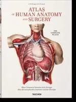 Bourgery. Atlas de anatomie și chirurgie umană - Bourgery. Atlas of Human Anatomy and Surgery