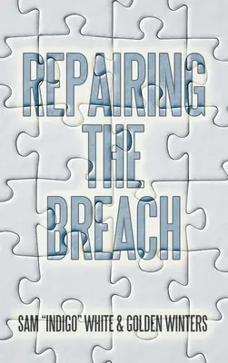 Repararea breșei - Repairing the Breach