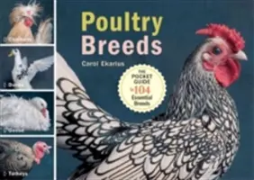 Poultry Breeds: Găini, rațe, gâște, curcani: Ghid de buzunar pentru 104 rase esențiale - Poultry Breeds: Chickens, Ducks, Geese, Turkeys: The Pocket Guide to 104 Essential Breeds