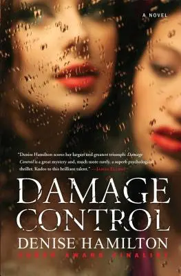 Controlul pagubelor - Damage Control
