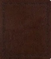 Biblie pentru jurnal-ESV - Journaling Bible-ESV