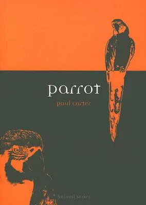 Papagalul - Parrot