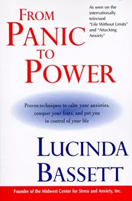 De la panică la putere - From Panic to Power
