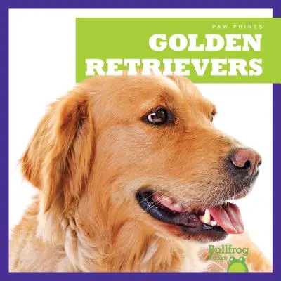 Golden Retriever - Golden Retrievers