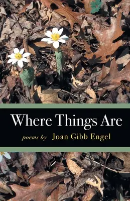 Unde sunt lucrurile - Where Things Are