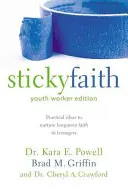 Sticky Faith, Youth Worker Edition: Idei practice pentru cultivarea credinței pe termen lung la adolescenți (Practical Ideas to Nurture Long-Term Faith in Teenagers) - Sticky Faith, Youth Worker Edition: Practical Ideas to Nurture Long-Term Faith in Teenagers