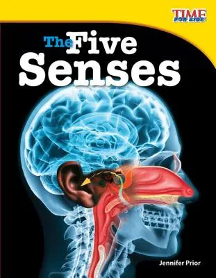 Cele cinci simțuri - The Five Senses