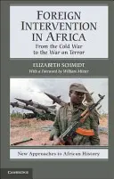 Intervenția străină în Africa: De la Războiul Rece la Războiul împotriva Terorii - Foreign Intervention in Africa: From the Cold War to the War on Terror