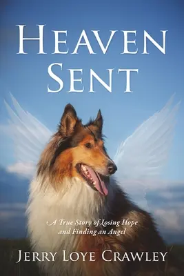 Heaven Sent: O poveste adevărată despre pierderea speranței și găsirea unui înger - Heaven Sent: A True Story of Losing Hope and Finding an Angel