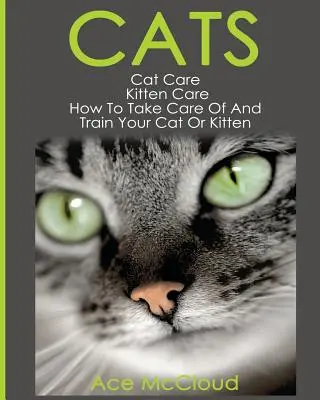 Pisici: Îngrijirea pisicilor: Îngrijirea pisicilor: Cum să vă îngrijiți și să vă dresați pisica sau pisoiul - Cats: Cat Care: Kitten Care: How To Take Care Of And Train Your Cat Or Kitten