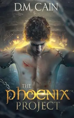 Proiectul Phoenix - The Phoenix Project