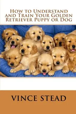 Cum să vă înțelegeți și să vă dresați cățelul sau câinele Golden Retriever - How to Understand and Train Your Golden Retriever Puppy or Dog