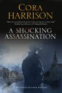 Un asasinat șocant - A Shocking Assassination
