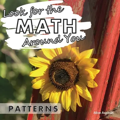 Caută matematica în jurul tău: Modele - Look for the Math Around You: Patterns