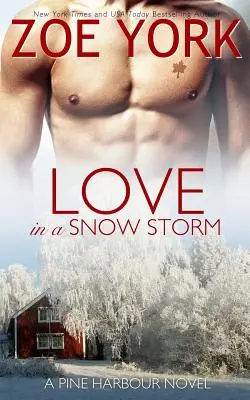 Dragoste într-o furtună de zăpadă - Love in a Snowstorm
