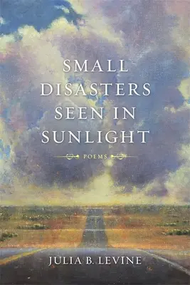Micile dezastre văzute în lumina soarelui - Small Disasters Seen in Sunlight