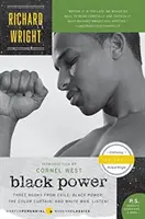 Puterea neagră - Black Power