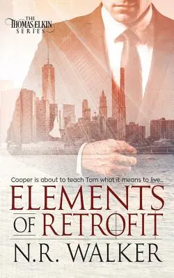 Elemente de modernizare - Elements of Retrofit
