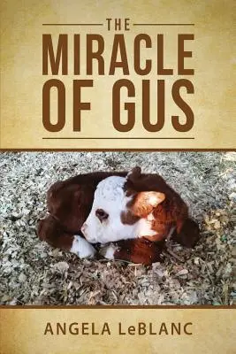 Miracolul lui Gus - The Miracle of Gus