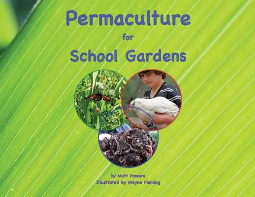 Permacultură pentru grădini școlare - Permaculture for School Gardens