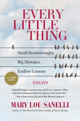 Every Little Thing: Micile descoperiri, marile greșeli, lecții nesfârșite - Every Little Thing: Small Breakthroughs, Big Mistakes, Endless Lessons
