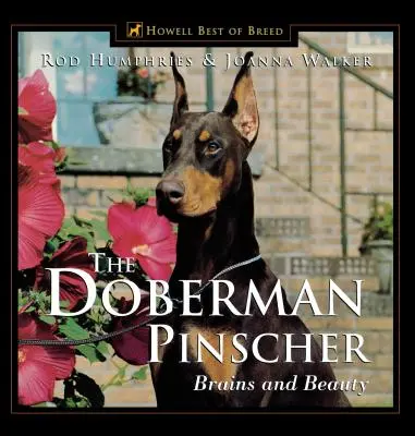 Doberman Pinscher: Creier și frumusețe - The Doberman Pinscher: Brains and Beauty