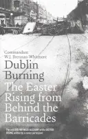 Dublin Burning: Răscoala de Paști din spatele baricadelor - Dublin Burning: The Easter Rising from Behind the Barricades