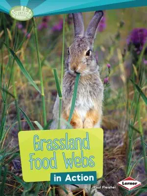 Rețelele trofice ale pășunilor în acțiune - Grassland Food Webs in Action