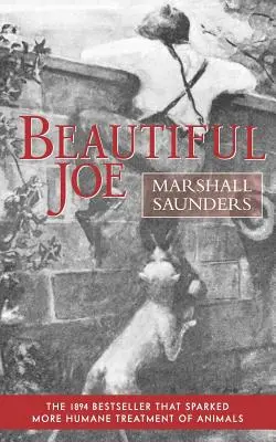 Frumosul Joe (broșură) - Beautiful Joe (Paperback)