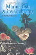 Pești și nevertebrate marine din Europa de Nord - Marine Fish & Invertebrates of Northern Europe