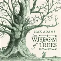 Înțelepciunea arborilor: The Wisdom of Trees - The Wisdom of Trees