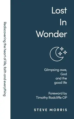 Pierdut în minune: Glimpsing Awe, God and the Good Life (Rediscovering Faith Life And Everything) - Lost in Wonder: Glimpsing Awe, God and the Good Life (Rediscovering Faith Life And Everything)