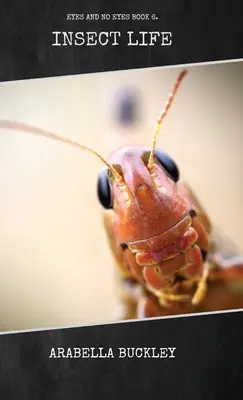 Viața insectelor - Insect Life