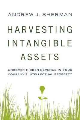 Recoltarea activelor intangibile: Descoperiți veniturile ascunse în proprietatea intelectuală a companiei dumneavoastră - Harvesting Intangible Assets: Uncover Hidden Revenue in Your Company's Intellectual Property