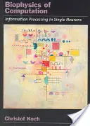 Biofizica calculului: Procesarea informației în neuronii individuali - Biophysics of Computation: Information Processing in Single Neurons