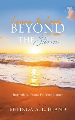 Învață să privești dincolo de furtună - Learn to Look Beyond The Storm