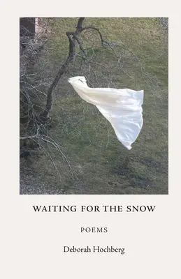 În așteptarea zăpezii: Poezii - Waiting for the Snow: Poems
