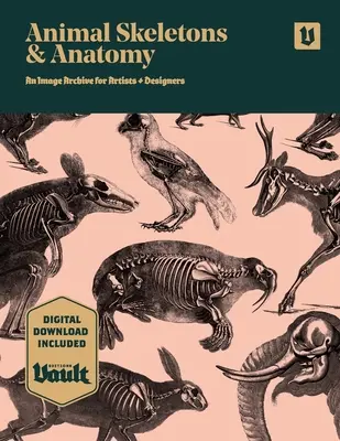 Schelete și anatomie animală: O arhivă de imagini pentru artiști și designeri - Animal Skeletons and Anatomy: An Image Archive for Artists and Designers