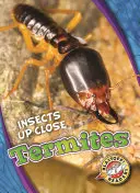 Termite - Termites