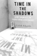 Timp în umbră: Confinarea în contrainsurgențe - Time in the Shadows: Confinement in Counterinsurgencies