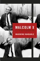 Malcolm X - O viață de reinventare - Malcolm X - A Life of Reinvention
