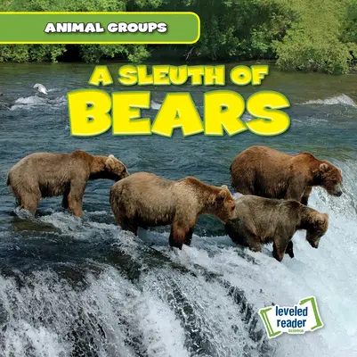 Un șlefuitor de urși - A Sleuth of Bears