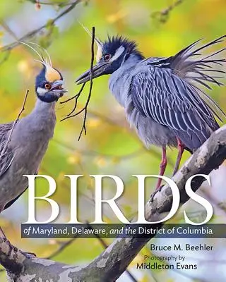 Păsările din Maryland, Delaware și Districtul Columbia - Birds of Maryland, Delaware, and the District of Columbia